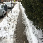 Unshoveled/Icy Sidewalk at 11 Babcock St