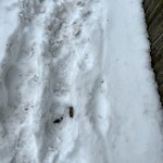 Unshoveled/Icy Sidewalk at 396 Lee St