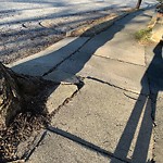Sidewalk Repair at 24 Wolcott Rd, Chestnut Hill