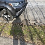 Sidewalk Repair at 108 Upland Rd