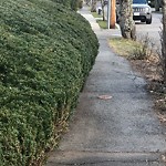 Sidewalk Obstruction at 42.31 N 71.14 W