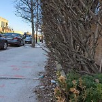 Sidewalk Obstruction at 335 Harvard St