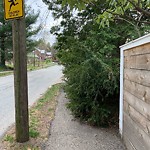 Sidewalk Obstruction at 72 Spooner Rd, Chestnut Hill