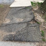 Sidewalk Repair at 34 Abbottsford Rd