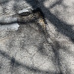 Pothole at 61 Brook St