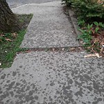 Sidewalk Repair at 43 Ackers Ave