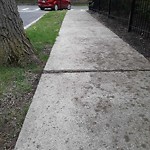 Sidewalk Repair at 12 Ackers Ave