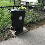Trash/Recycling at 302 Dean Rd