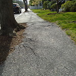 Sidewalk Repair at 216 Summit Ave Corey Hill