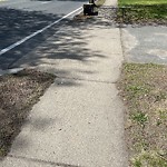 Sidewalk Obstruction at 145 Grove St, Chestnut Hill