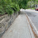 Sidewalk Obstruction at 382 Walnut St