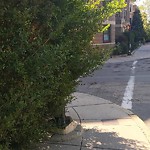 Sidewalk Obstruction at 485 Washington St