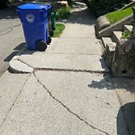 Sidewalk Repair at 50 Atherton Rd
