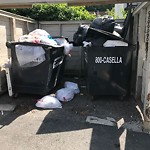 Trash/Recycling at 243 Cypress St