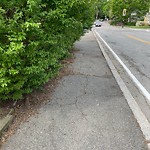Sidewalk Obstruction at 306 Walnut St