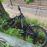 Abandoned Bike at 6–50 Colchester St