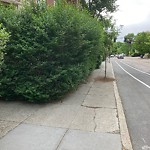 Sidewalk Obstruction at 489 Washington St