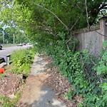Sidewalk Obstruction at 170 Fairway Rd, Chestnut Hill
