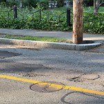 Pothole at 15 Circuit Rd, Chestnut Hill