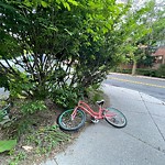 Abandoned Bike at 3 Kent Square