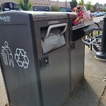 Trash/Recycling at 308 Harvard St
