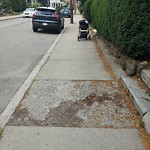 Sidewalk Repair at 139 Cypress St
