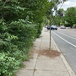 Sidewalk Obstruction at 489 Washington St