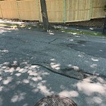 Pothole at 30 Norfolk Rd, Chestnut Hill