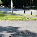 Pothole at 171 Crafts Rd, Chestnut Hill
