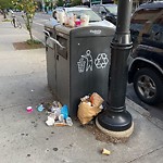 Trash/Recycling at 290 Harvard St