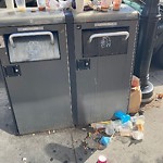 Trash/Recycling at 290 Harvard St