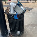 Trash/Recycling at 42.31 N 71.17 W