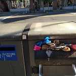 Trash/Recycling at 289 Harvard St
