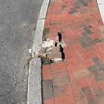 Sidewalk Repair at 46–52 Fuller St