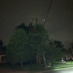 Streetlight at 181 Laurel Rd, Chestnut Hill