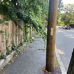 Sidewalk Obstruction at 148–198 Longwood Ave
