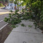 Sidewalk Obstruction at 6 Colchester St