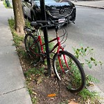 Abandoned Bike at 21 Gibbs St