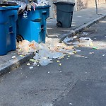 Trash/Recycling at 83 Ivy St