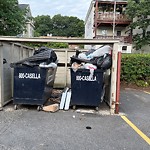 Trash/Recycling at 235 Cypress St