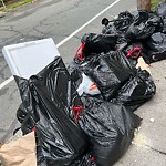Trash/Recycling at 59 Manchester Rd