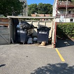 Trash/Recycling at 235 Cypress St