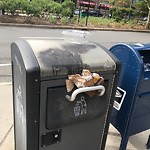 Trash/Recycling at 1296 Beacon St