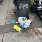 Trash/Recycling at 1003 Beacon St