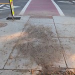 Sidewalk Obstruction at 171 Clinton Rd