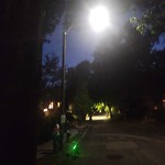 Streetlight at 16 Downing Rd
