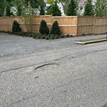 Pothole at 47 Norfolk Rd, Chestnut Hill