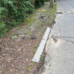 Sidewalk Repair at 55 Devon Rd, Chestnut Hill