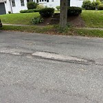 Pothole at 85 Fairway Rd, Chestnut Hill