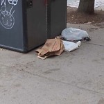 Trash/Recycling at 516 Harvard St